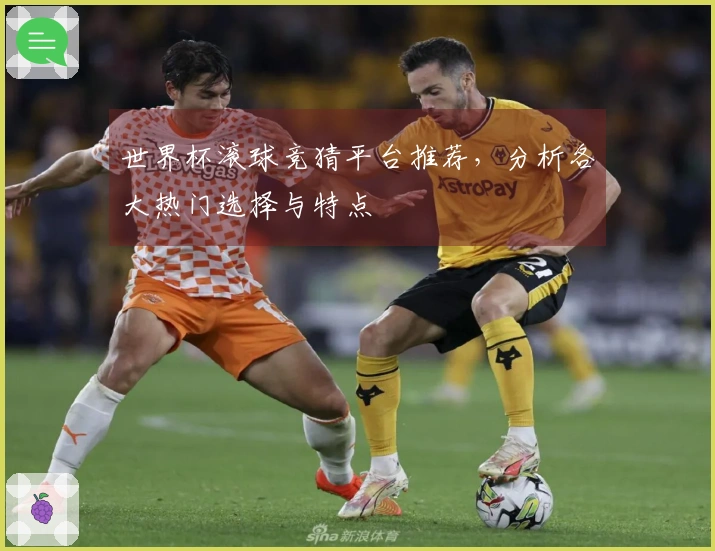 世界杯滚球竞猜平台推荐，分析各大热门选择与特点