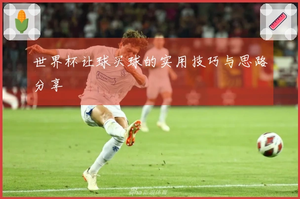 世界杯让球买球的实用技巧与思路分享