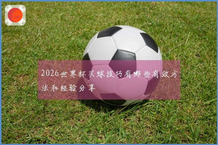 2026世界杯买球技巧有哪些有效方法和经验分享