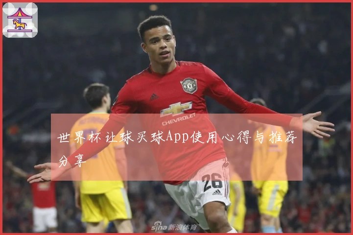 世界杯让球买球App使用心得与推荐分享
