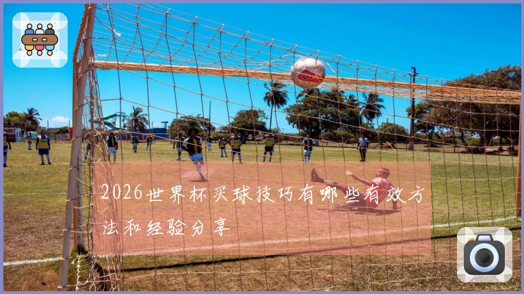 2026世界杯买球技巧有哪些有效方法和经验分享