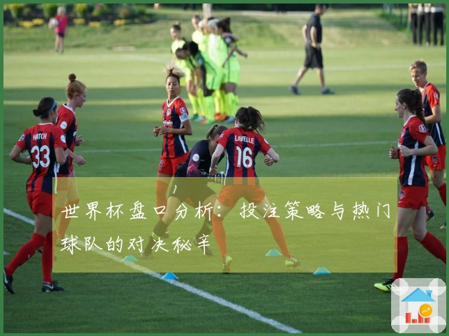世界杯盘口分析：投注策略与热门球队的对决秘辛