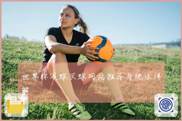 世界杯滚球买球网站推荐与玩法详解