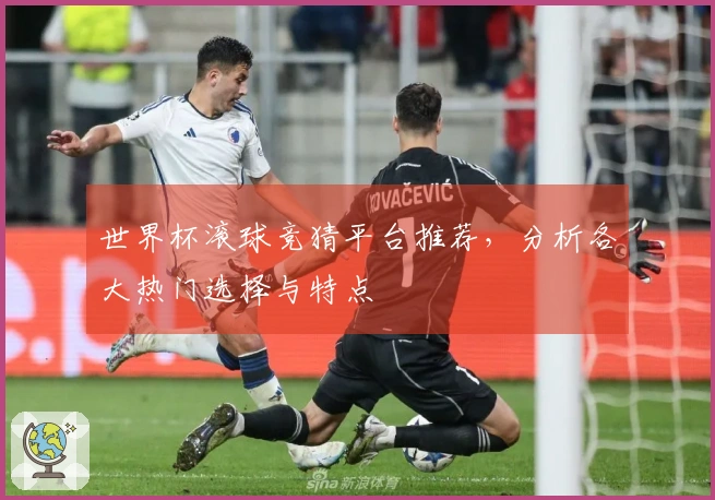 世界杯滚球竞猜平台推荐，分析各大热门选择与特点